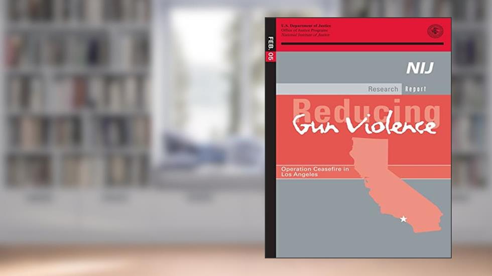 Reducing Gun Violence: Operation Ceasefire in Los Angeles, written by U.S. Department of Justice