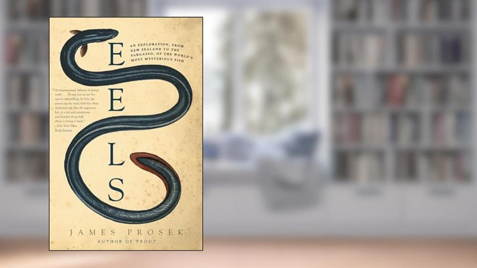 Eels: An Exploration, from New Zealand to the Sargasso, of the World's Most Mysterious Fish, written by James Prosek