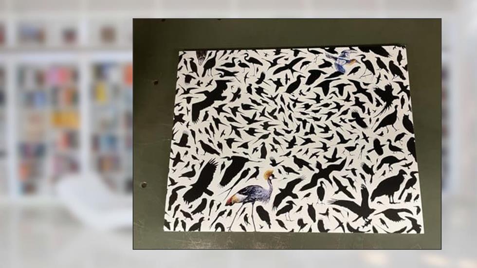 Field Guide: James Prosek's Un/Natural World: An Exhibition at the North Carolina Museum of Art March 7 - August 2, 2015 (published in 2015), written by James Prosek