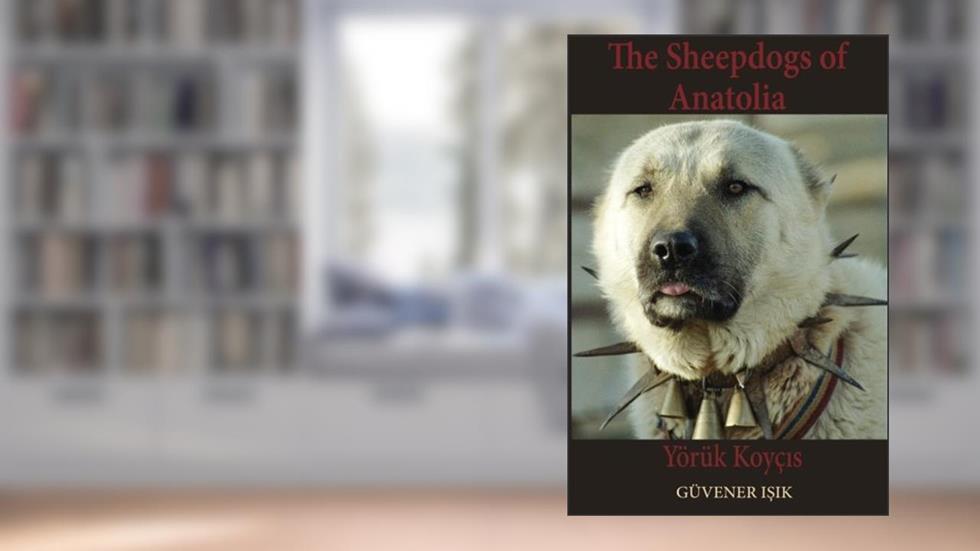 The Sheep Dogs of Anatolia: Yörük Koyçis, written by Guvener Isik