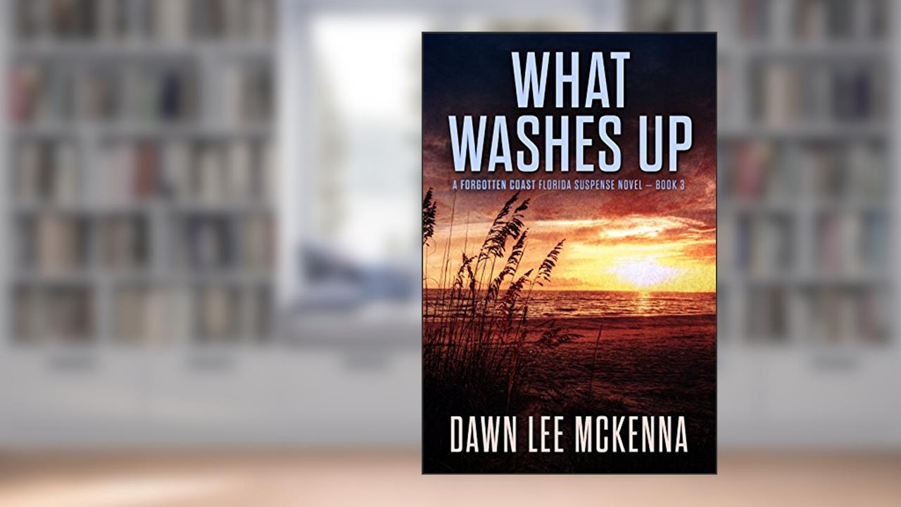 What Washes Up (The Forgotten Coast Florida Suspense Series Book 3), written by Dawn Lee McKenna
