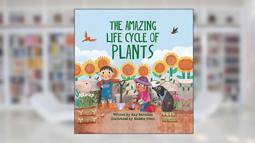 The Amazing Life Cycle of Plants (Look and Wonder), written by Kay Barnham; Maddie Frost