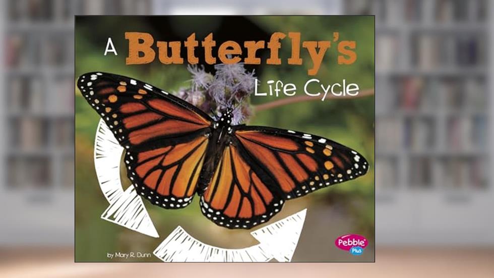 A Butterfly's Life Cycle (Explore Life Cycles), written by Mary R. Dunn