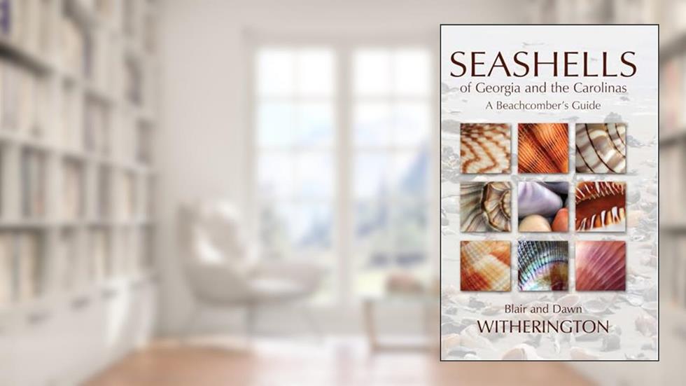 Seashells of Georgia and the Carolinas, written by Blair Witherington; Dawn Witherington