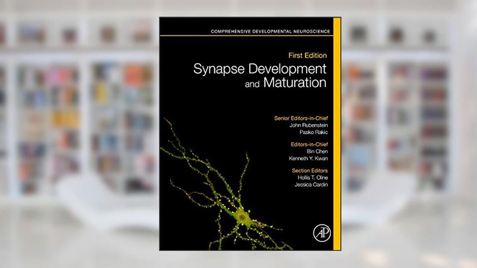 Synapse Development and Maturation: Comprehensive Developmental Neuroscience [Hardcover] Rakic, Pasko; Rubenstein, John; Chen, Bin and Kwan, Kenneth Y., written by Pasko Rakic