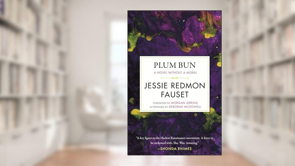 Plum Bun: A Novel without a Moral (Celebrating Black Women Writers), written by Jessi Redmon Fauset