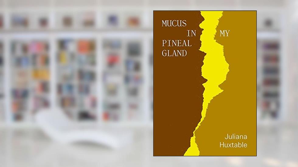 Mucus in My Pineal Gland, written by Juliana Huxtable