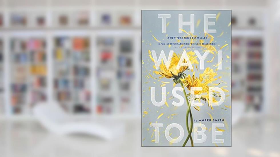 The Way I Used to Be, written by Amber Smith