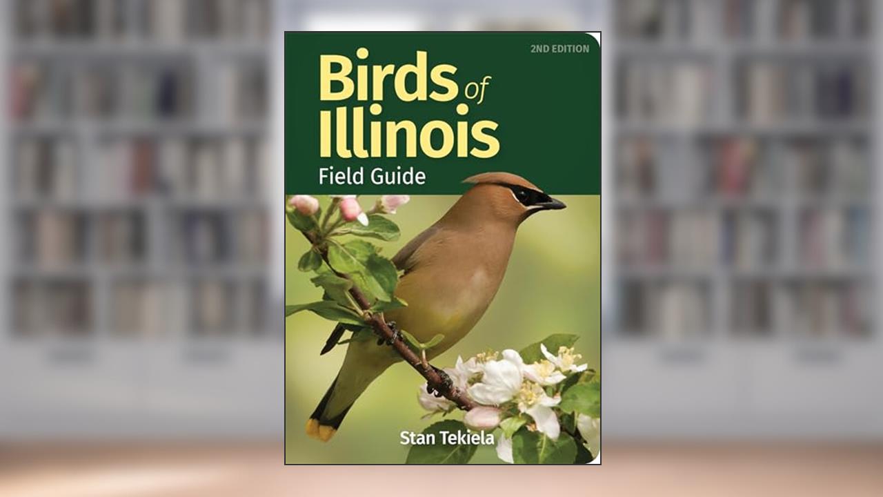 Birds of Illinois Field Guide (Bird Identification Guides), written by Stan Tekiela