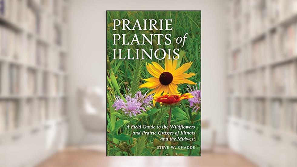 Prairie Plants of Illinois: A Field Guide to the Wildflowers and Prairie Grasses of Illinois and the Midwest, written by Steve W Chadde