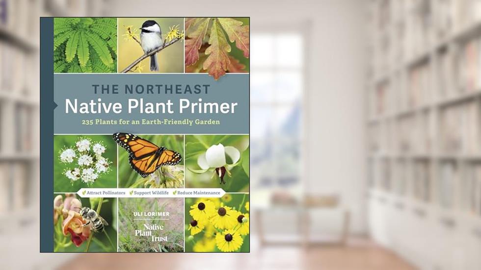 The Northeast Native Plant Primer: 235 Plants for an Earth-Friendly Garden, written by Uli Lorimer; Native Plant Trust