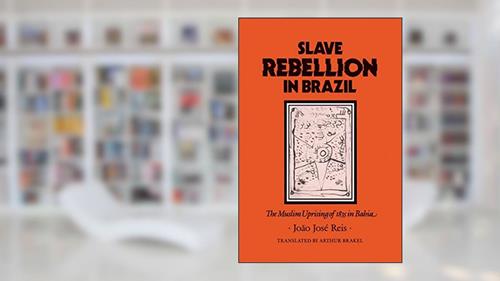 Cover from Slave Rebellion in Brazil: The Muslim Uprising of 1835 in Bahia (Johns Hopkins Studies in Atlantic History and Culture), written by João José José Reis