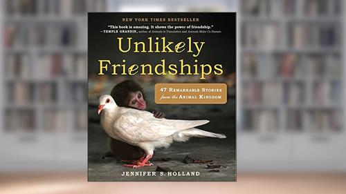 Cover from Unlikely Friendships: 47 Remarkable Stories from the Animal Kingdom, written by Jennifer S. Holland