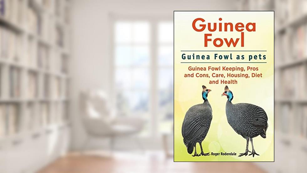 Guinea Fowl. Guinea Fowl as pets. Guinea Fowl Keeping, Pros and Cons, Care, Housing, Diet and Health., written by Roger Rodendale