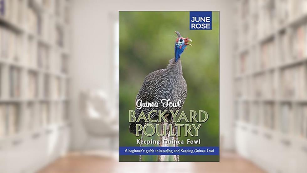 Guinea Fowl, Backyard Poultry: Keeping Guinea Fowl, written by June Rose