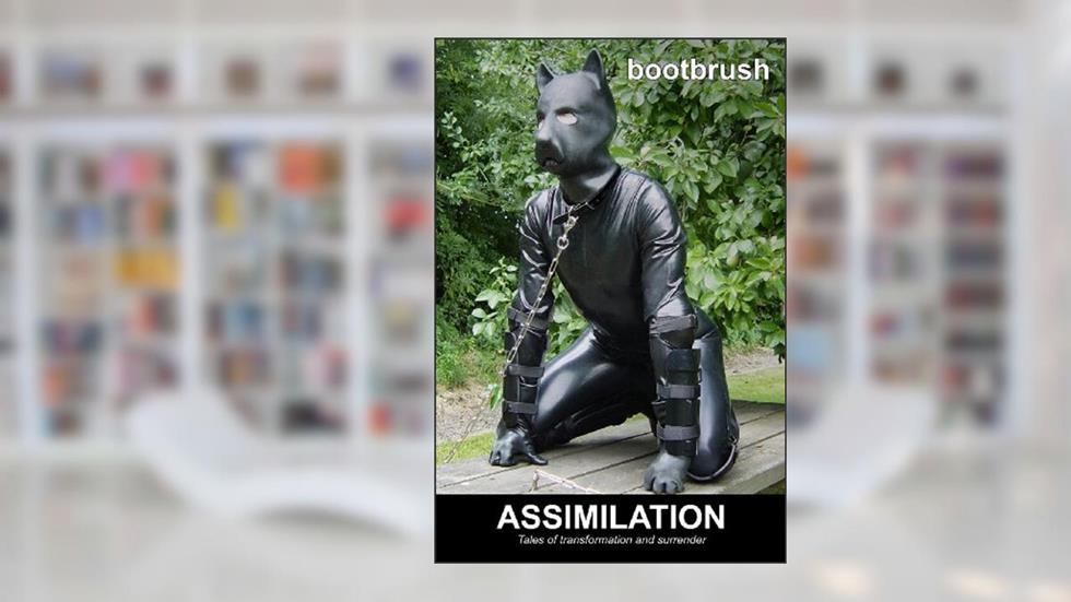 Assimilation: Tales of Transformation and Surrender, written by bootbrush
