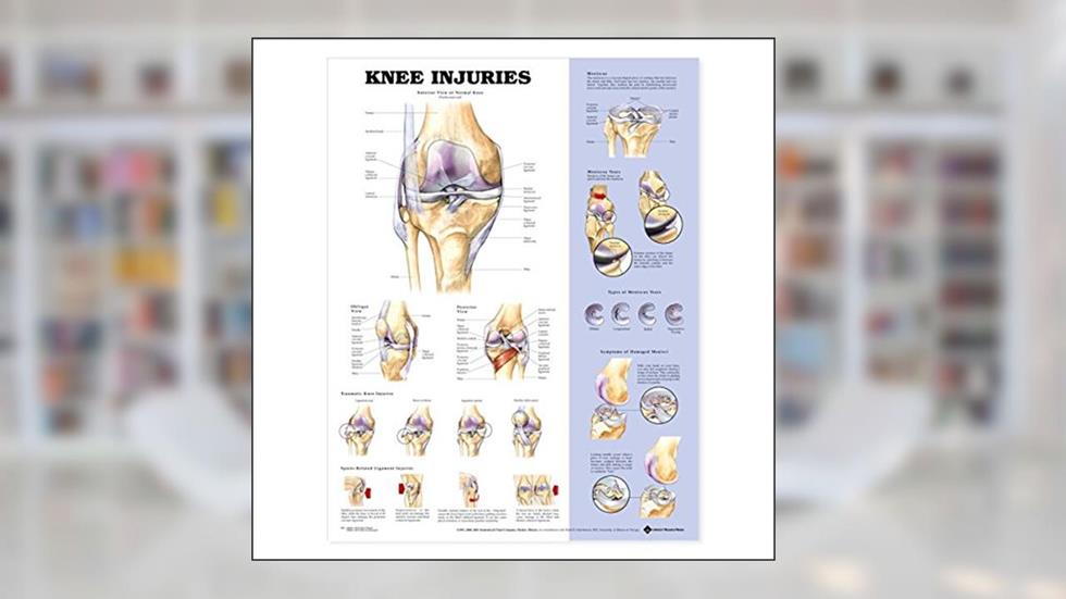Knee Injuries Anatomical Chart, written by ACC