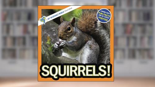 Cover from Squirrels!: A My Incredible World Picture Book (My Incredible World: Nature and Animal Picture Books for Children), written by My Incredible World; Hope Aicher