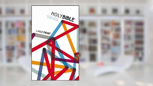 Cover from NIrV, Outreach Large Print Bible for Kids, Paperback, written by Zondervan