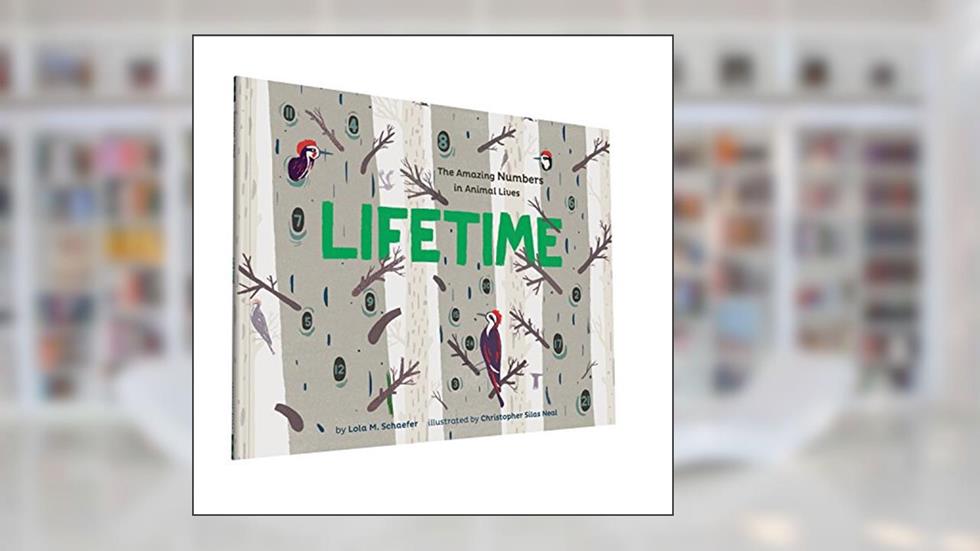 Lifetime: The Amazing Numbers in Animal Lives, written by Lola M Schaefer