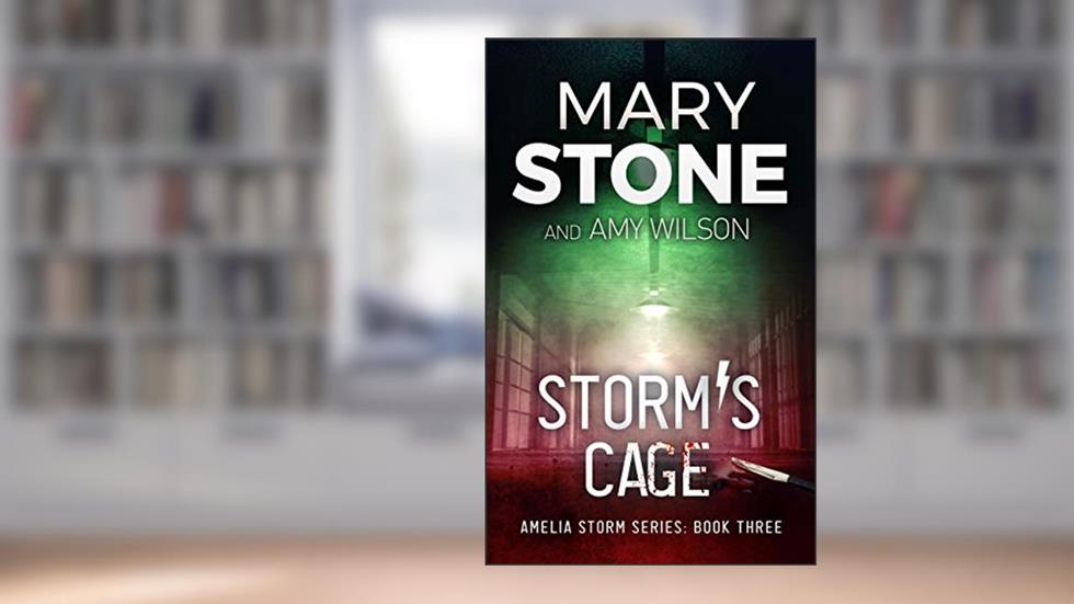 Storm's Cage (Amelia Storm FBI Mystery Series Book 3), written by Mary Stone