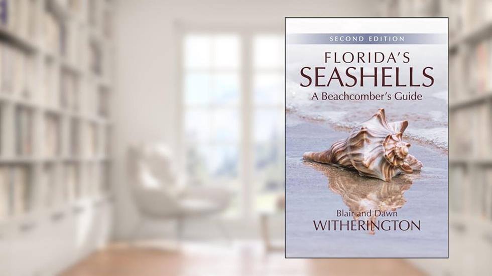 Florida's Seashells: A Beachcomber's Guide, written by Blair Witherington