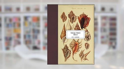 Vintage Prints: Shells, written by E. Lawrence