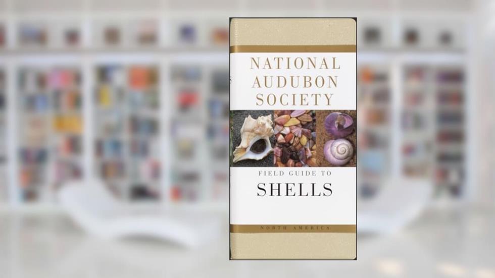National Audubon Society Field Guide to North American Seashells, written by National Audubon Society