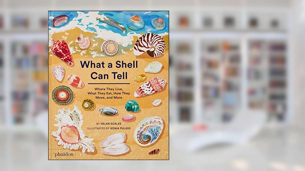 What A Shell Can Tell, written by Helen Scales