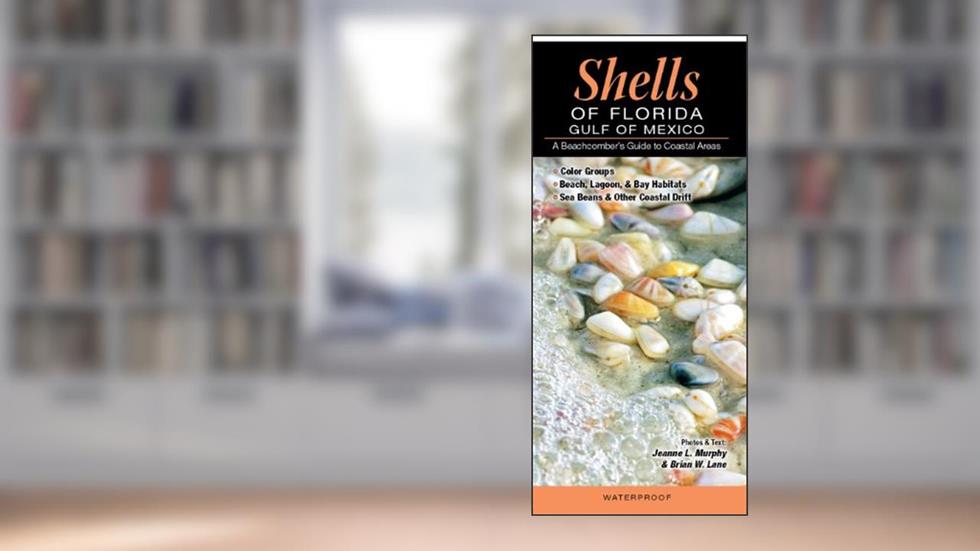 Shells of Florida-Gulf of Mexico: A Beachcomber's Guide to Coastal Areas, written by Jeanne L. Murphy and Brian W. Lane