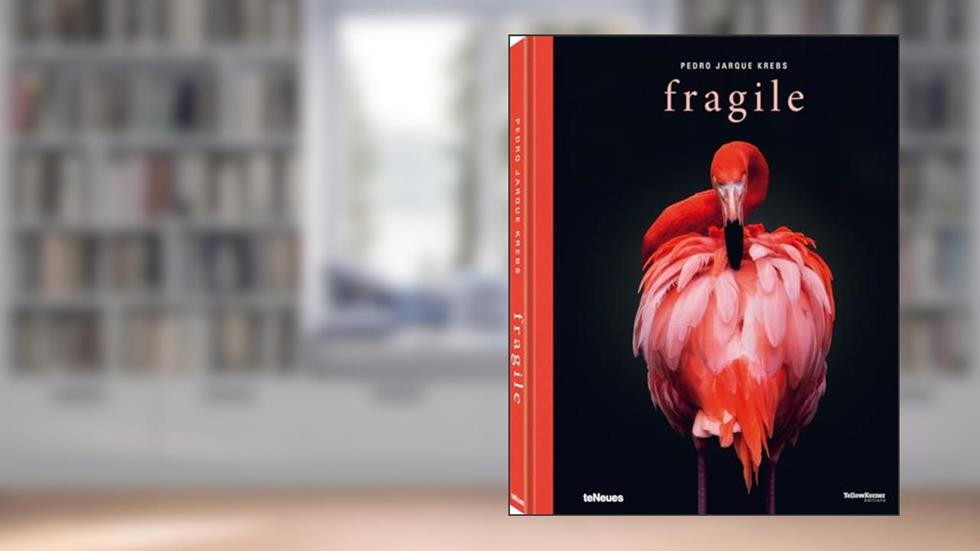 Fragile, written by Pedro Jarque Krebs