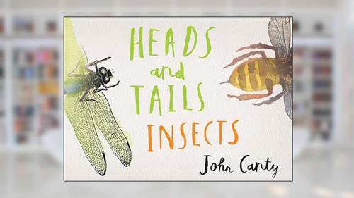 Cover from Heads and Tails: Insects, written by John Canty
