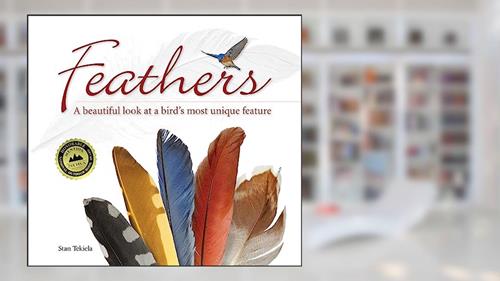 Cover from Feathers: A Beautiful Look at a Bird's Most Unique Feature (Nature Appreciation), written by Stan Tekiela