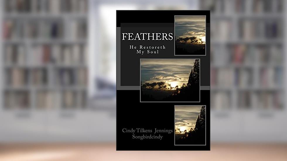 Feathers: He Restoreth My Soul, written by Cindy Tilkens Jennings