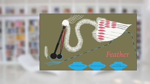 Cover from Feather, written by Cao Wenxuan