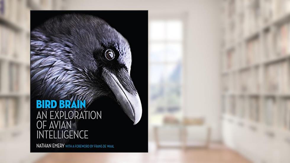 Bird Brain: An Exploration of Avian Intelligence, written by Nathan Emery