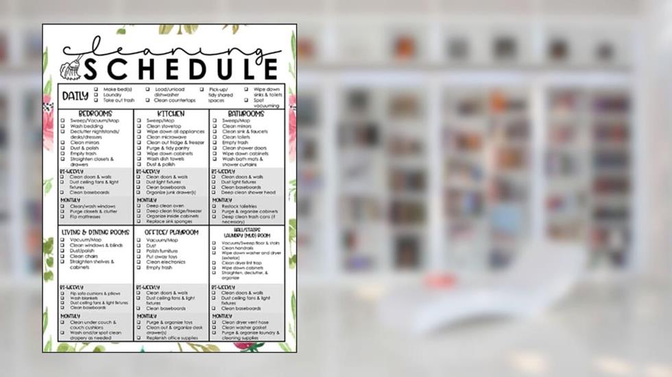 Cleaning Schedule: Daily, Biweekly, and Monthly Cleaning Schedule and Checklist for adults, Spring Cleaning Checklist, written by Ismail Umar