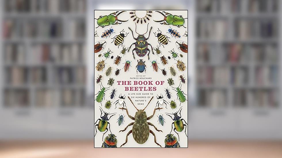 The Book of Beetles: A Life-Size Guide to Six Hundred of Nature's Gems, written by Patrice Bouchard