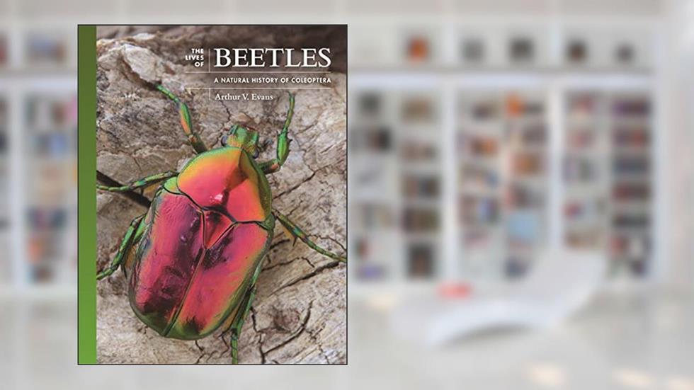 The Lives of Beetles: A Natural History of Coleoptera (The Lives of the Natural World), written by Arthur V. Evans
