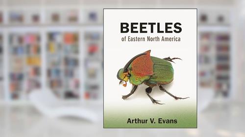 Cover from Beetles of Eastern North America, written by Arthur V. Evans