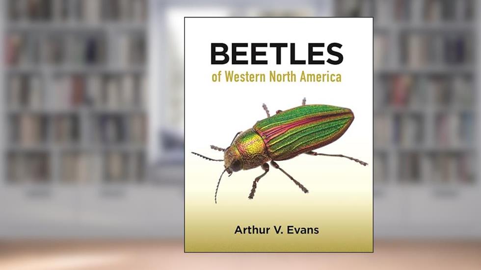 Beetles of Western North America, written by Arthur V. Evans