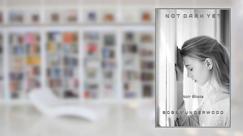 Cover from Not Dark Yet: Noir Shots, written by Bobby Underwood