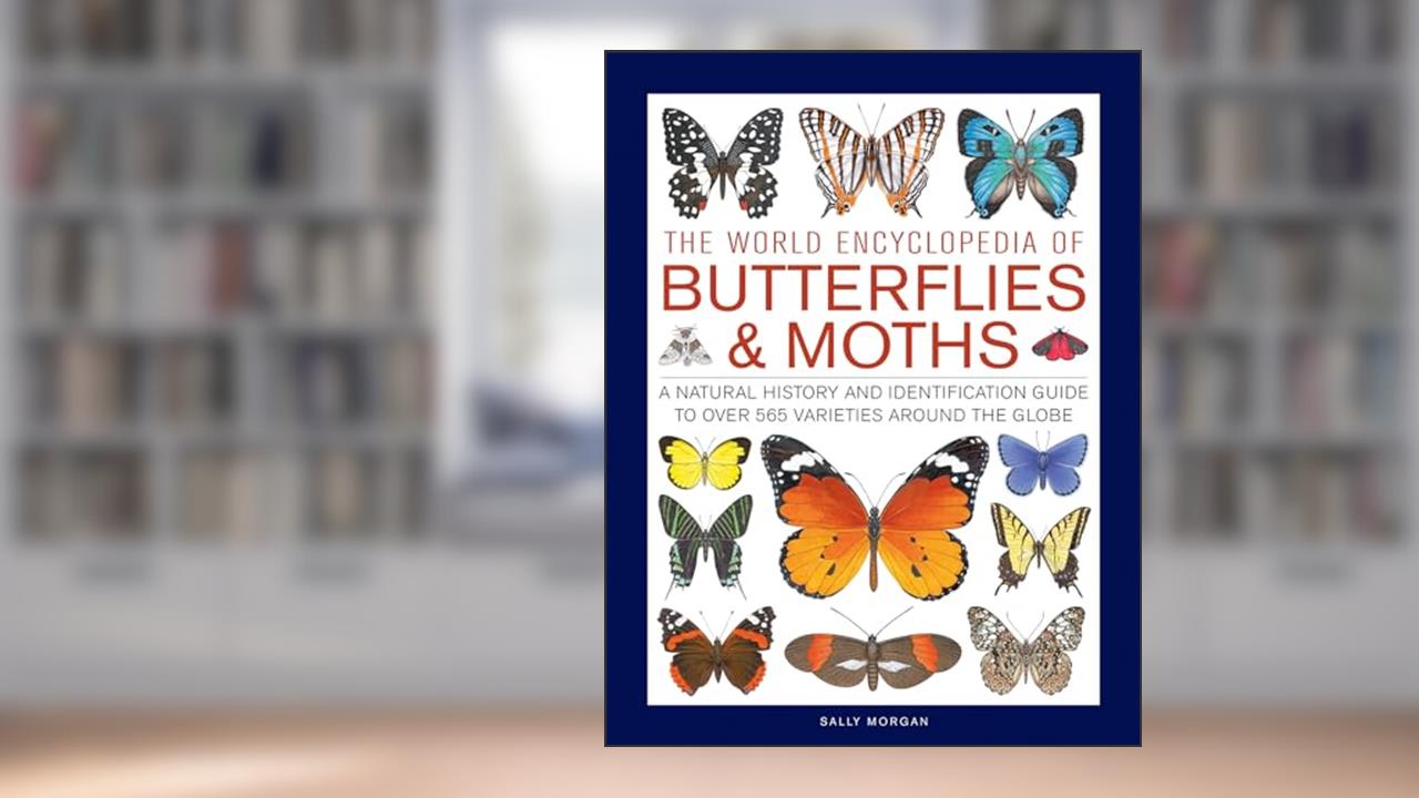 The World Encyclopedia of Butterflies & Moths: A Natural History And Identification Guide To Over 565 Varieties Around The Globe, written by Sally Morgan
