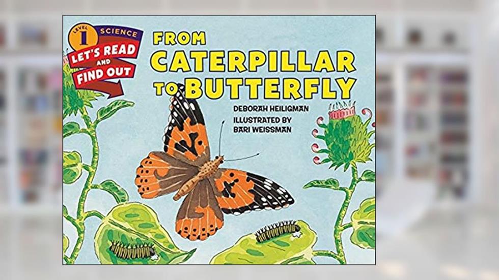 From Caterpillar to Butterfly (Let's-Read-and-Find-Out Science 1), written by Deborah Heiligman