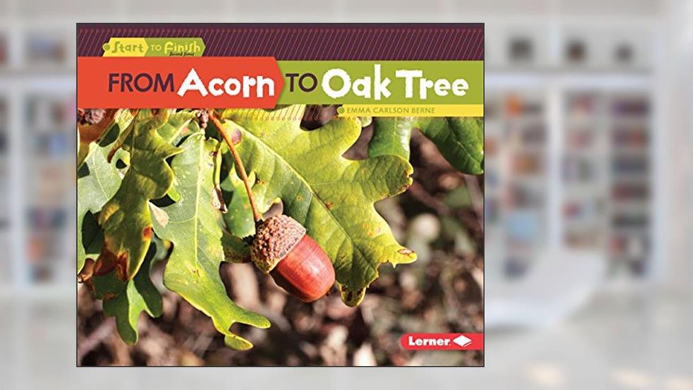 From Acorn to Oak Tree (Start to Finish, Second Series), written by Emma Carlson-Berne