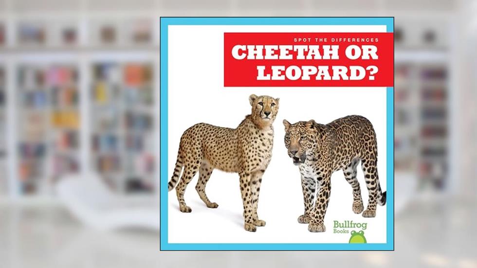 Cheetah or Leopard? (Bullfrog Books: Spot the Differences), written by Jamie Rice