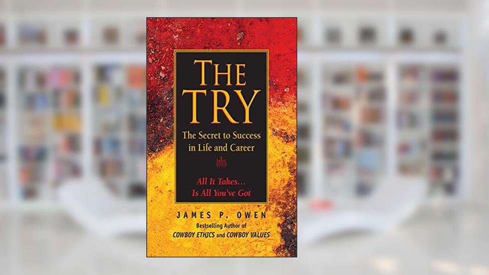 The Try: The Secret to Success in Life and Career, written by James P. Owen