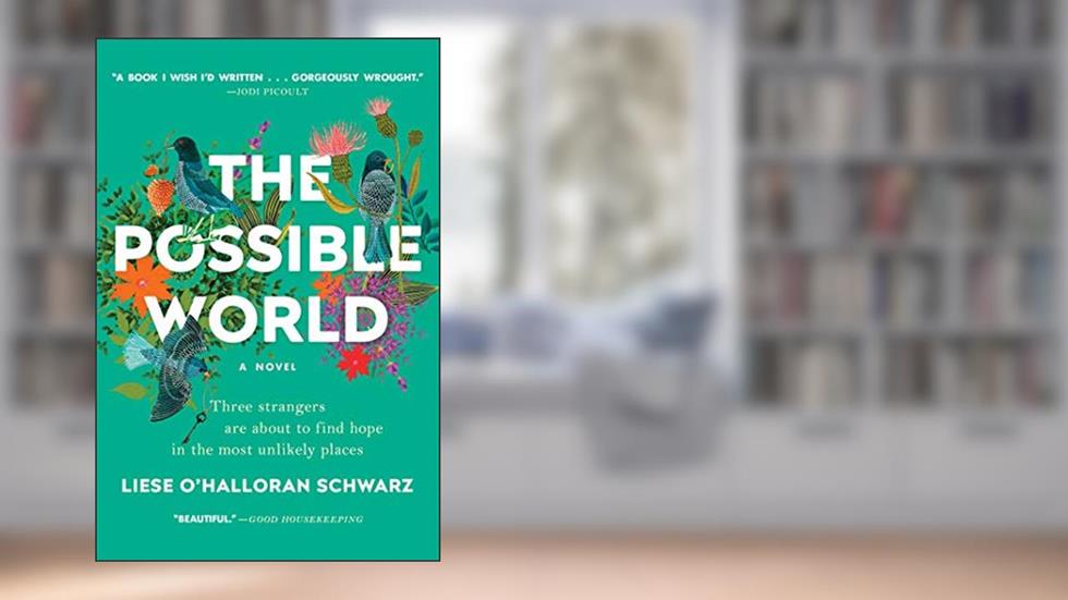 The Possible World: A Novel, written by Liese O'Halloran Schwarz