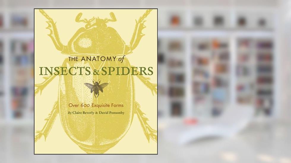 The Anatomy of Insects & Spiders: Over 600 Exquisite Forms, written by Claire Beverley; David Ponsonby