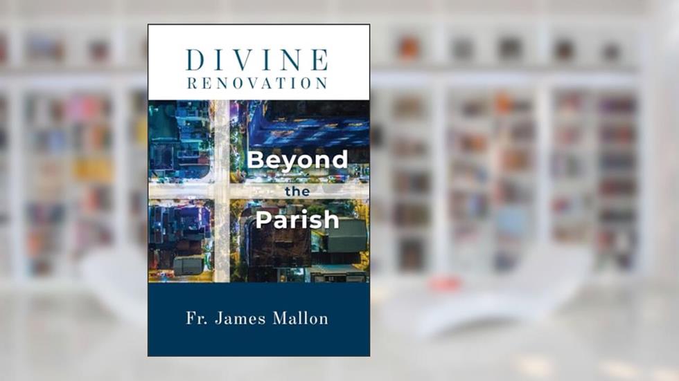 Divine Renovation Beyond the Parish, written by Fr. James Mallon